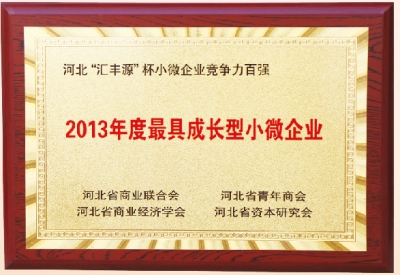 2013年度最具成長型小微企業(yè)-洗滌機(jī)械